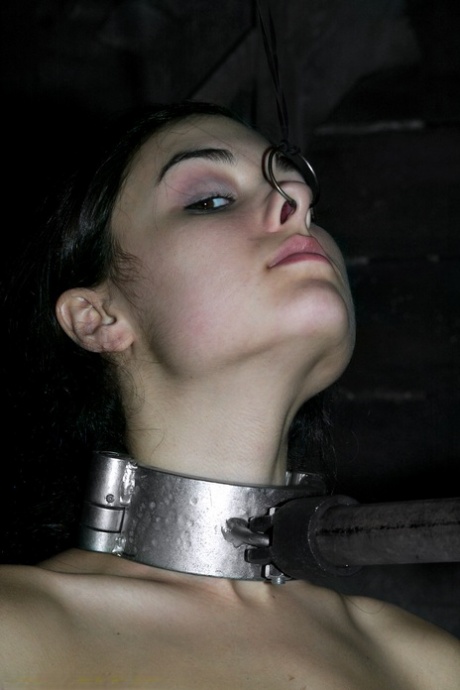 Sasha Grey star sexy pics