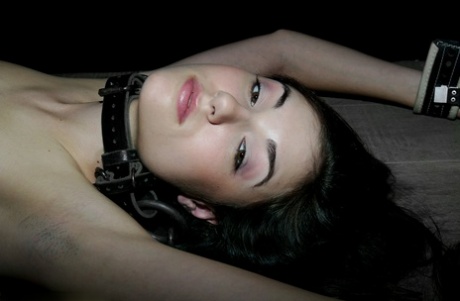 Sasha Grey hot star image